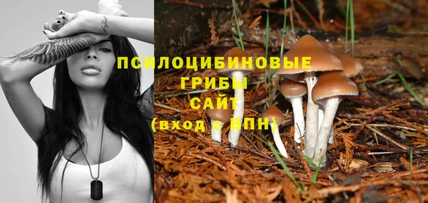 хмурый Нягань