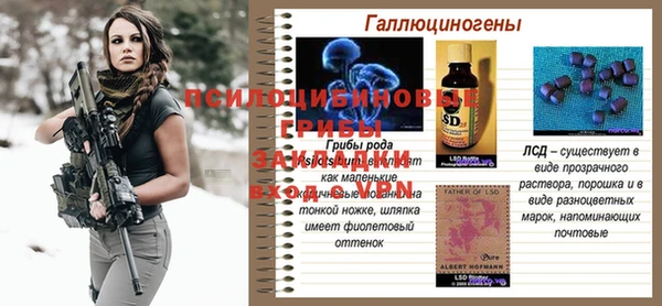 прущая мука Новодвинск