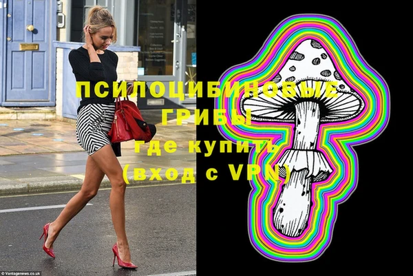 MDMA Premium VHQ Новозыбков