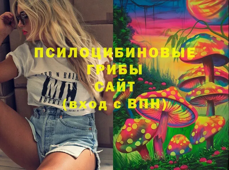 shop формула  Углегорск  Псилоцибиновые грибы Magic Shrooms 