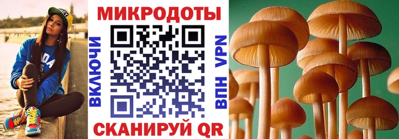 наркота  Углегорск  Галлюциногенные грибы Magic Shrooms 